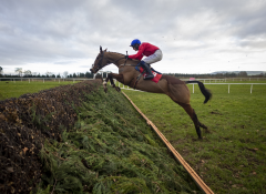 Punchestown